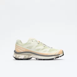 Salomon - XT-6 (Aloe Wash/Hazelnut/Feather Gray)
